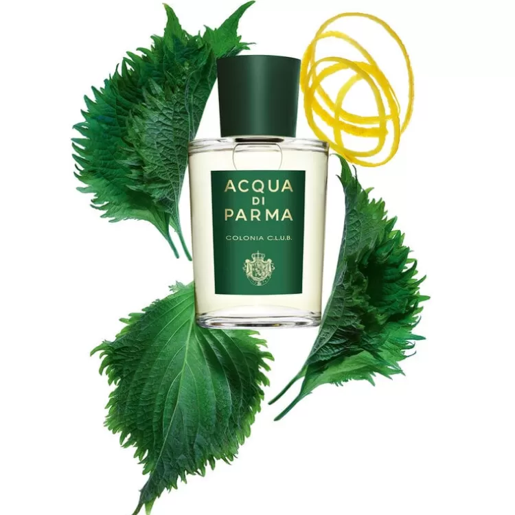 Discount Colonia C.L.U.B. Aromatic