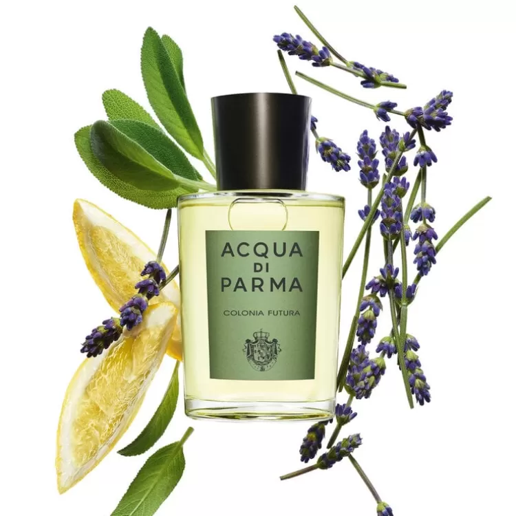 Clearance Colonia Futura Fougere